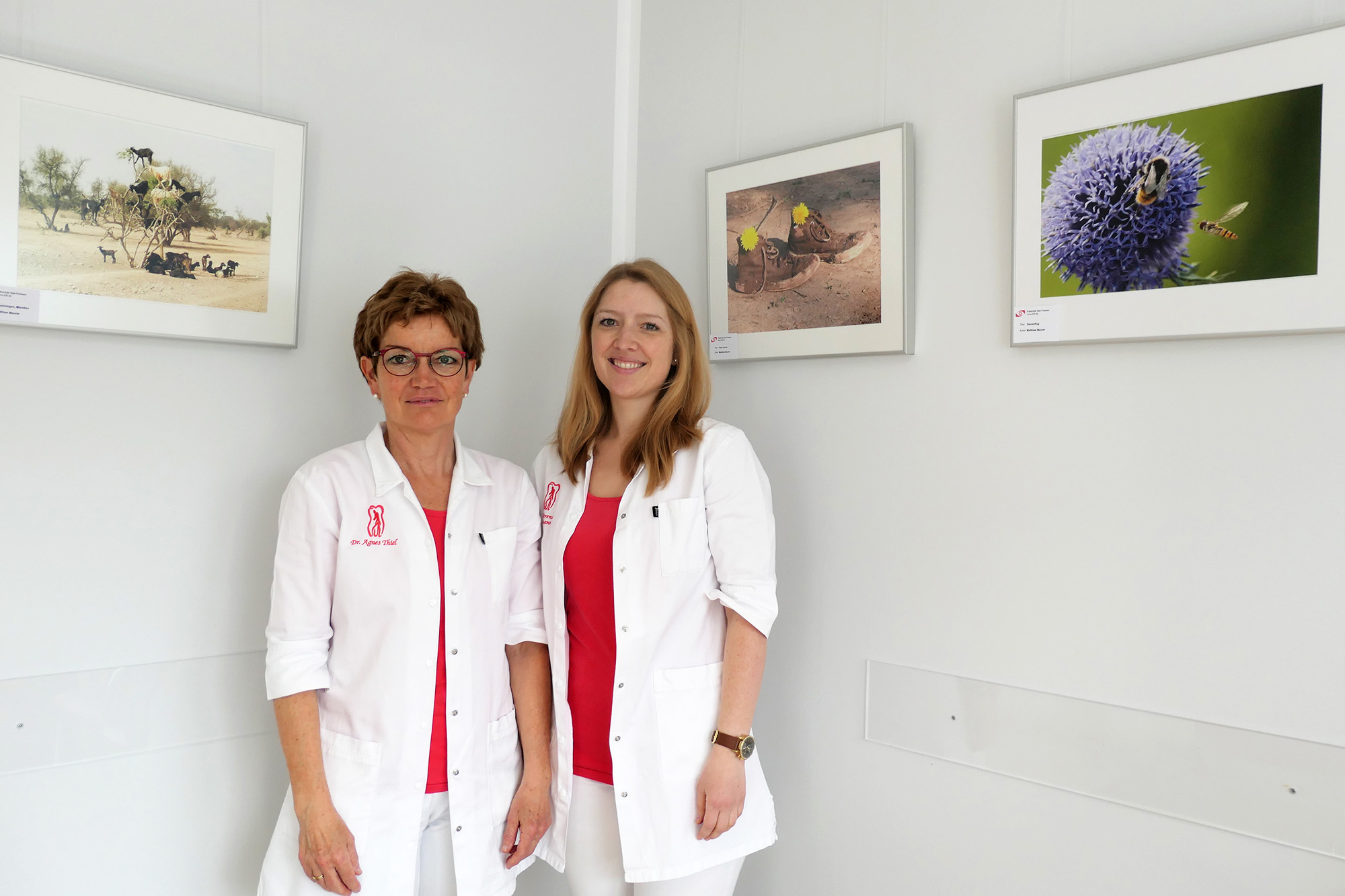 Zahnarztpraxis Dr. Agnes Thiel in Freisen zeigt Bilder des Fotoclubs Tele Freisen